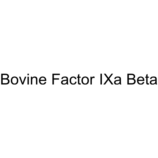 Bovine Factor IXa Beta